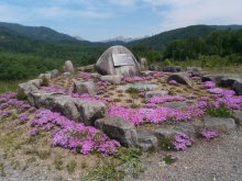 5月23日「水と緑の感謝祭」会場下見：画像